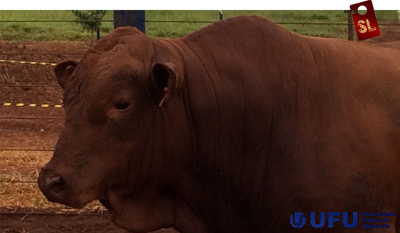 SL110 prova da UFU